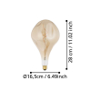 Eglo LED lamp E27 | XXL | Filament | Goud | 1800K | Dimbaar | 4W  LEG00246 - 3