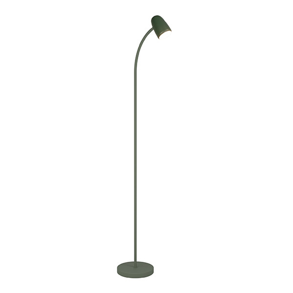 Eglo LED vloerlamp 170 cm | Carlo | Groen | 18W LEG00562 - 1