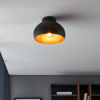 Eglo Plafondlamp E27 | Mogano 2 | Ø 28 cm | IP20 | Zwart/Koper LEG00103