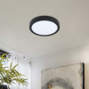 Eglo Plafondlamp buiten | Argus 2 | Zwart | IP44 LEG00810 - 2