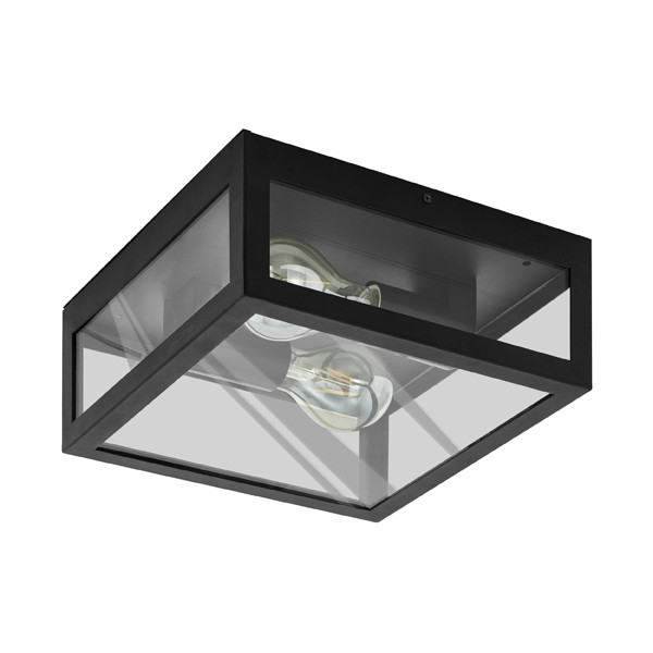 Eglo Plafondlamp buiten E27 | Alamonte | IP44 | Zwart  LEG00148 - 1