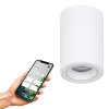 Eglo Slimme Opbouwspot | Ø 80 cm | Rond | RGB + 2700-6500K | Zigbee | 4.9W | Wit LEG00605 - 2