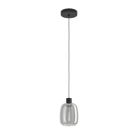 Eglo Smart Hanglamp | Molochio-Z | 2700-6500K | Zwart | 3.7W  LEG00254