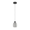 Eglo Smart Hanglamp | Molochio-Z | 2700-6500K | Zwart | 3.7W  LEG00254 - 1