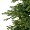 Kunstkerstboom 2.10 meter | Grandis Fir | 550 lampjes | 2326 tips | PVC/PE | Everlands LLU00548 - 2