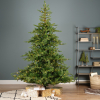 Kunstkerstboom 2.10 meter | Grandis Fir | 550 lampjes | 2326 tips | PVC/PE | Everlands LLU00548 - 5