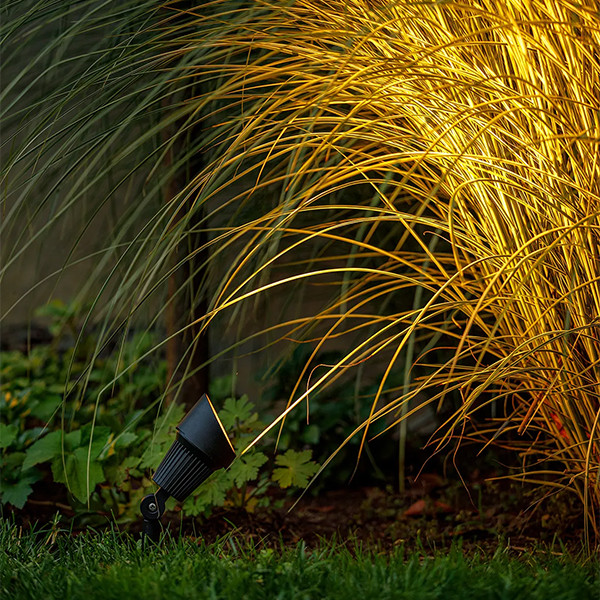 Garden Lights Focus | Tuinspot | Zwart | 12V | Warm wit | 3W  LGL00006 - 2