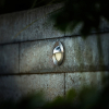 Garden Lights Grondspot 12V | Fidas | Warm wit | Zilvergrijs | 1.2W  LGL00073 - 2