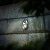 Garden Lights Grondspot 12V | Fidas | Warm wit | Zilvergrijs | 1.2W  LGL00073 - 2