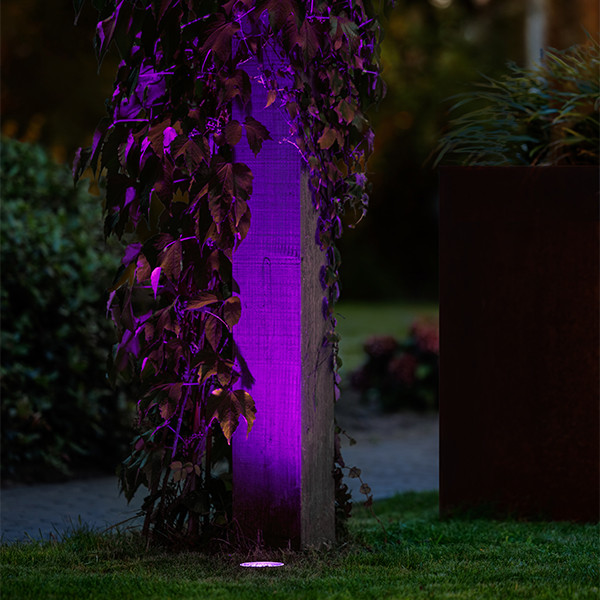 Garden Lights Grondspot 12V | Rubum | RGB + 2700–6500K | Zigbee | 5W  LGL00109 - 3