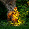 Garden Lights Grondspot 12V | Rubum | Warm wit | Zwart | 5W  LGL00010 - 2