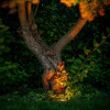 Garden Lights Grondspot 12V | Rubum | Warm wit | Zwart | 5W  LGL00010 - 3