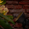 Garden Lights Industriële prikspot 12V | Raf | Warm wit | Zwart | 1.8W  LGL00063 - 2