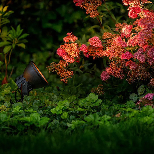 Garden Lights Industriële prikspot 12V | Raf | Warm wit | Zwart | 1.8W  LGL00063 - 2