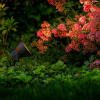 Garden Lights Industriële prikspot 12V | Raf | Warm wit | Zwart | 1.8W  LGL00063 - 2