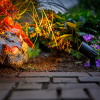 Garden Lights Prikspot 12V | Neso |  | Warm wit | Zwart | 2W  LGL00004 - 2