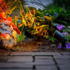 Garden Lights Prikspot 12V | Neso | 3000K | Zwart | 2W (3 stuks)  LGL00069 - 2