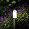 Garden Lights Sokkellamp 12V | Lunia | Instelbaar wit | RVS | 1W (3 stuks)  LGL00070 - 3