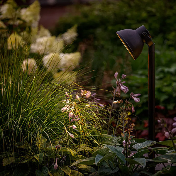 Garden Lights Tuinlamp 12V | Dax | Warm wit | Zwart | 1.8W  LGL00065 - 2