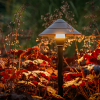 Garden Lights Tuinlantaarn 12V | Ceto | Warm wit | Zwart | 2W  LGL00026 - 2