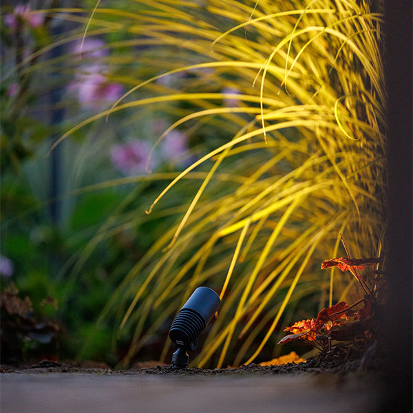 Garden Lights Tuinspot 12V | Alder | Warm wit | Antraciet | 1.8W (3 stuks)  LGL00003 - 2