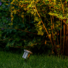 Garden Lights Tuinspot 12V | Catalpa | Warm wit | RVS | 2.6W (3 stuks)  LGL00037 - 2