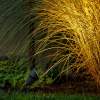 Garden Lights Tuinspot 12V | Focus | Warm wit | Zwart | 2.6W  LGL00006 - 2
