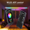 ESP32 WLED Digital LED Controller | 5V-24V | Gledopto LDR08195 - 2