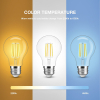 Gledopto Zigbee Led Lamp | E27 | Peer A60 | White Ambiance | Goud | 7W | Gledopto  LDR07242 - 4