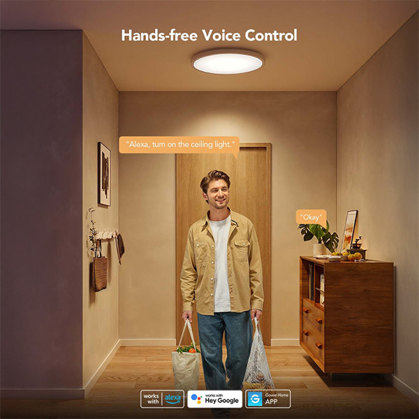 Govee Ceiling Light | Ø 30 | RGBICWW | Wi-Fi + Matter LGO00189 - 5