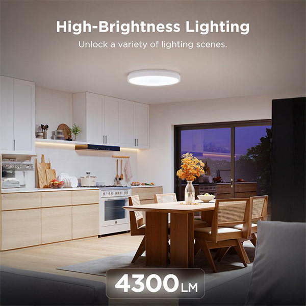 Govee Ceiling Light Pro | Ø 38 | Wi-Fi, Bluetooth | RGBICWW | 48.5W  LGO00178 - 5