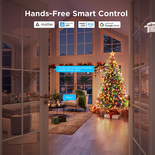 Govee Christmas Sparkle String Lights  | 30 meter | RGBWIC | 375 lampjes | WiFi LGO00210 - 7