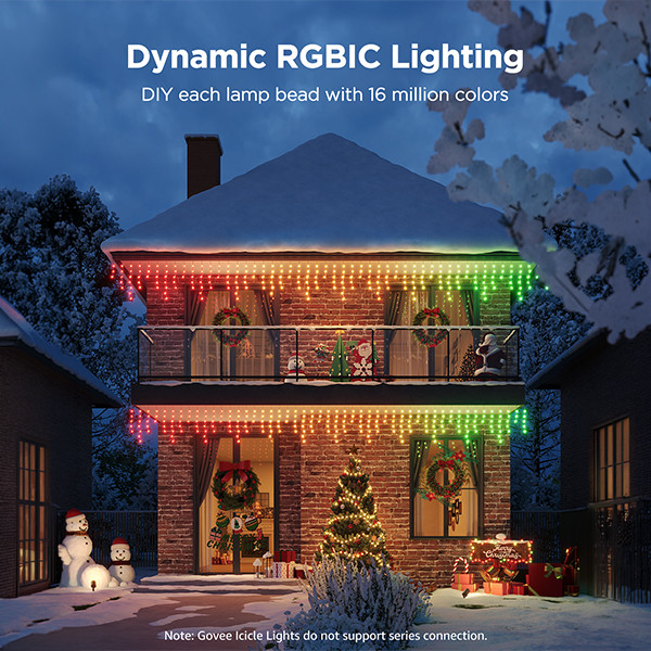 Govee Ijspegelverlichting 10 meter | RGBIC | WiFi LGO00203 - 2