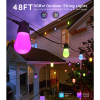 Govee LED Bulb String Lights 15 meter | RGBW | 15 lampjes  LGO00174 - 8