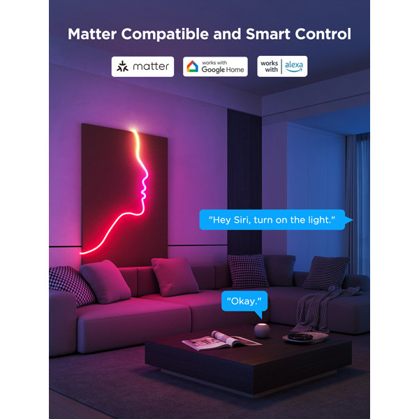 Govee Neon Rope Light 2 | Wi-Fi + Bluetooth, Matter | 3 meter  LGO00119 - 9