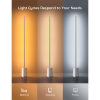Govee RGBICWW Floor Lamp Lyra | Wi-Fi + Bluetooth | Zilver  LGO00170 - 2