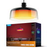 Govee Smart hanglamp | RGB + 2700-6500K | WiFi LGO00193 - 1