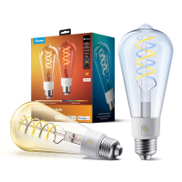 Govee Smart lamp E27 | Edison ST64 | Helder | RGB + 2700-6500K | WiFi | 5W (40W) | 2 stuks LGO00201