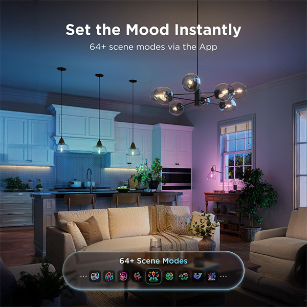 Govee Smart lamp E27 | Edison ST64 | Helder | RGB + 2700-6500K | WiFi | 5W (40W) | 2 stuks LGO00201 - 6