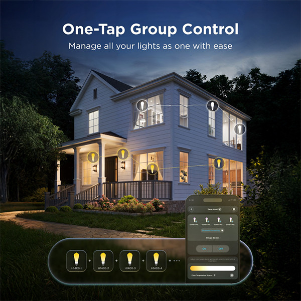 Govee Smart lamp E27 | Edison ST64 | Helder | RGB + 2700-6500K | WiFi | 5W (40W) LGO00200 - 7