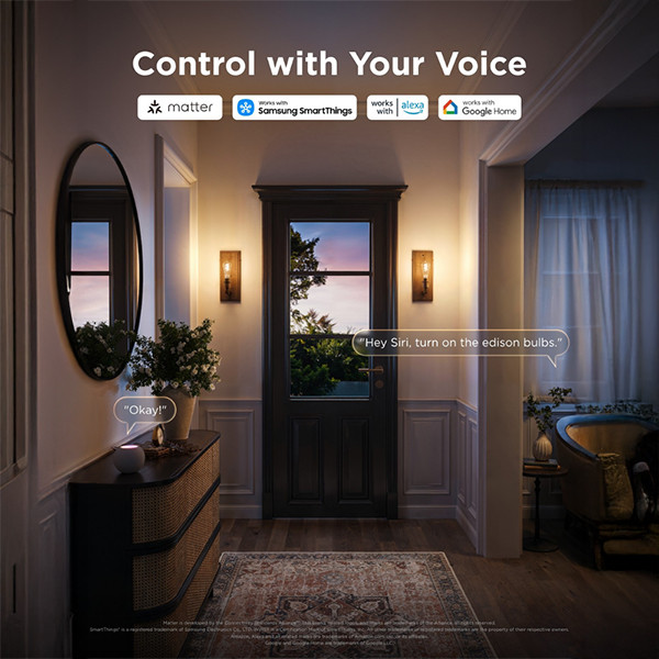 Govee Smart lamp E27 | Edison ST64 | Helder | RGB + 2700-6500K | WiFi | 5W (40W) LGO00200 - 8