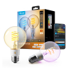 Govee Smart lamp E27 | Globe G80 | 2700-6500K | WiFi, Bluetooth | 2 stuks LGO00206 - 1