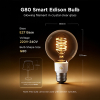 Govee Smart lamp E27 | Globe G80 | 2700-6500K | WiFi, Bluetooth | 2 stuks LGO00206 - 2