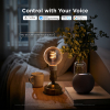 Govee Smart lamp E27 | Globe G80 | 2700-6500K | WiFi, Bluetooth | 2 stuks LGO00206 - 3
