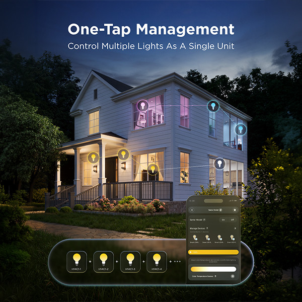 Govee Smart lamp E27 | Globe G80 | 2700-6500K | WiFi, Bluetooth | 2 stuks LGO00206 - 4