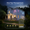 Govee Smart lamp E27 | Globe G80 | 2700-6500K | WiFi, Bluetooth | 2 stuks LGO00206 - 4