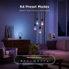 Govee Smart lamp E27 | Globe G80 | 2700-6500K | WiFi, Bluetooth | 2 stuks LGO00206 - 6