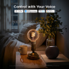 Govee Smart lamp E27 | Globe G80 | RGB + 2700-6500K | WiFi, Bluetooth | 5W LGO00207 - 3