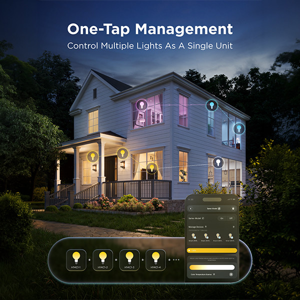 Govee Smart lamp E27 | Globe G80 | RGB + 2700-6500K | WiFi, Bluetooth | 5W LGO00207 - 4
