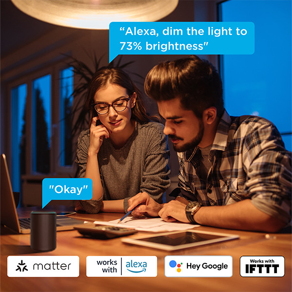 Govee Smart lamp E27 | Peer A60 | Mat | 2700-6500K | WiFi | 2 stuks LGO00208 - 6